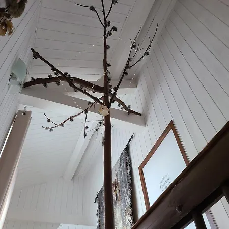 Cosy A : Nature, Rando, Proche Gerardmer, Saint-die, Alsace, Confort Inclus - Fr-1-589-457 Kır Evi *