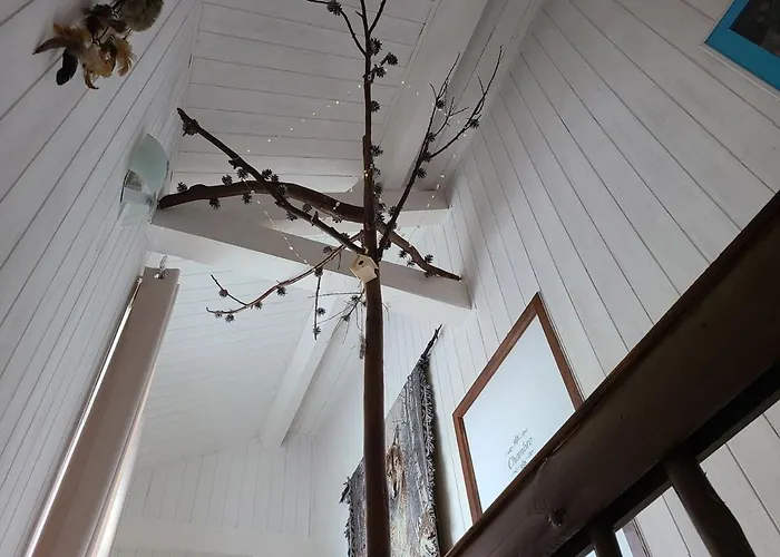 Cosy A : Nature, Rando, Proche Gerardmer, Saint-die, Alsace, Confort Inclus - Fr-1-589-457 Дом отдыха *